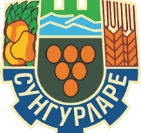 logo sungurlare